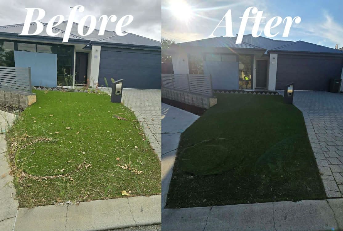 Artificial Lawn