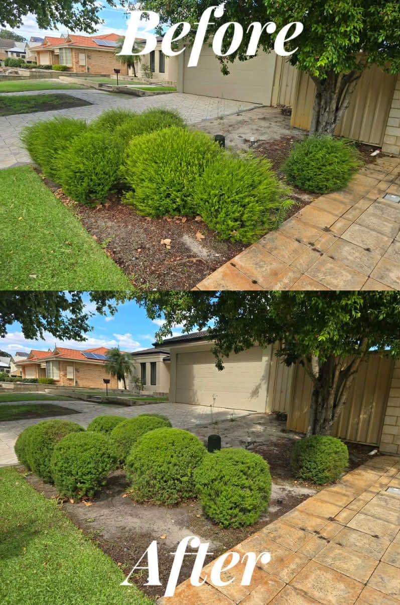 Fresh Cuts work — bushesbefore & after