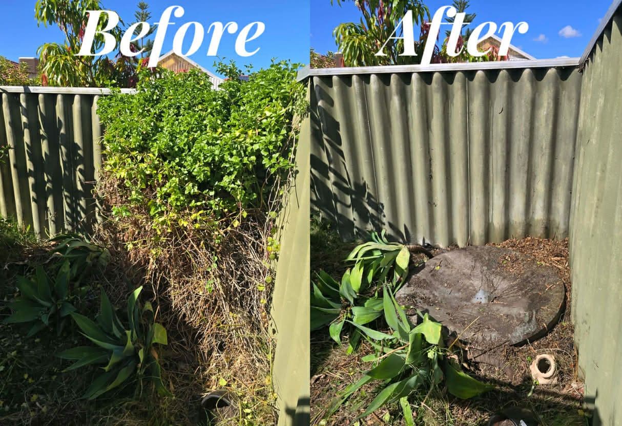 Fresh Cuts work — bushremovalbefore & after