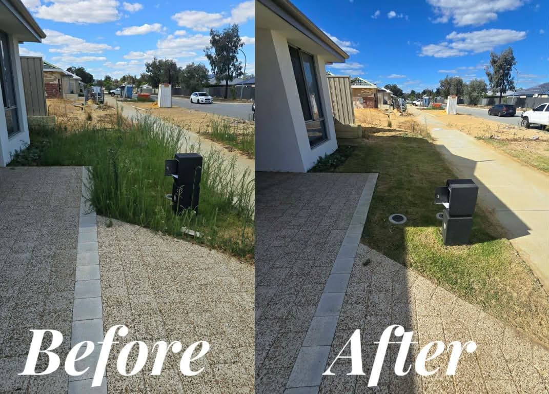 Fresh Cuts work — frontlawn2before & after