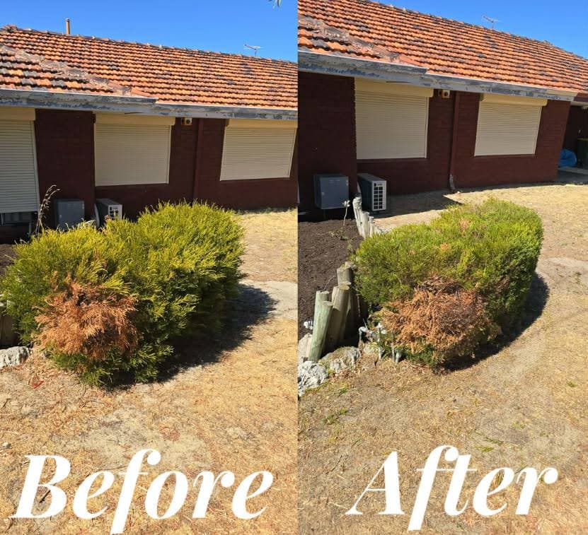 Fresh Cuts work — frontyardtidyupbefore & after