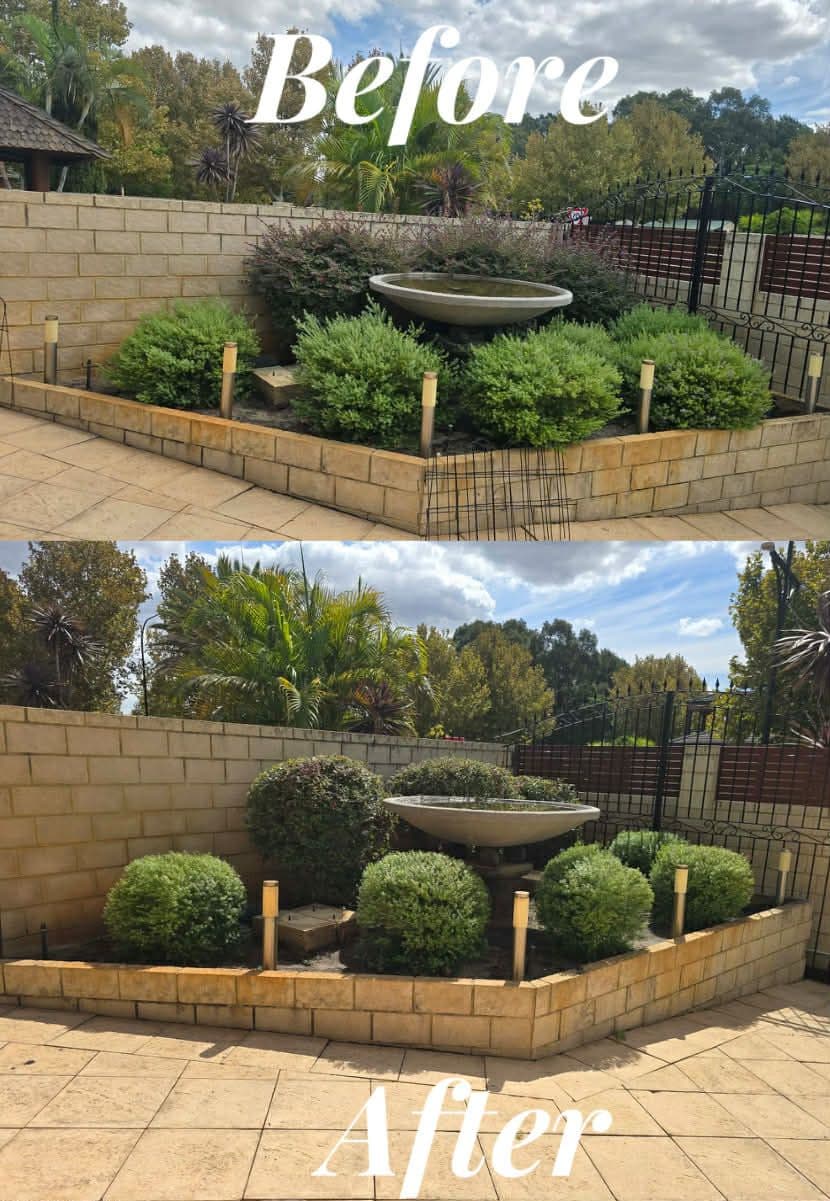 Fresh Cuts work — garden2before & after