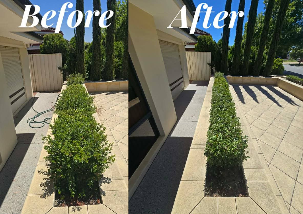 Fresh Cuts work — hedge4before & after