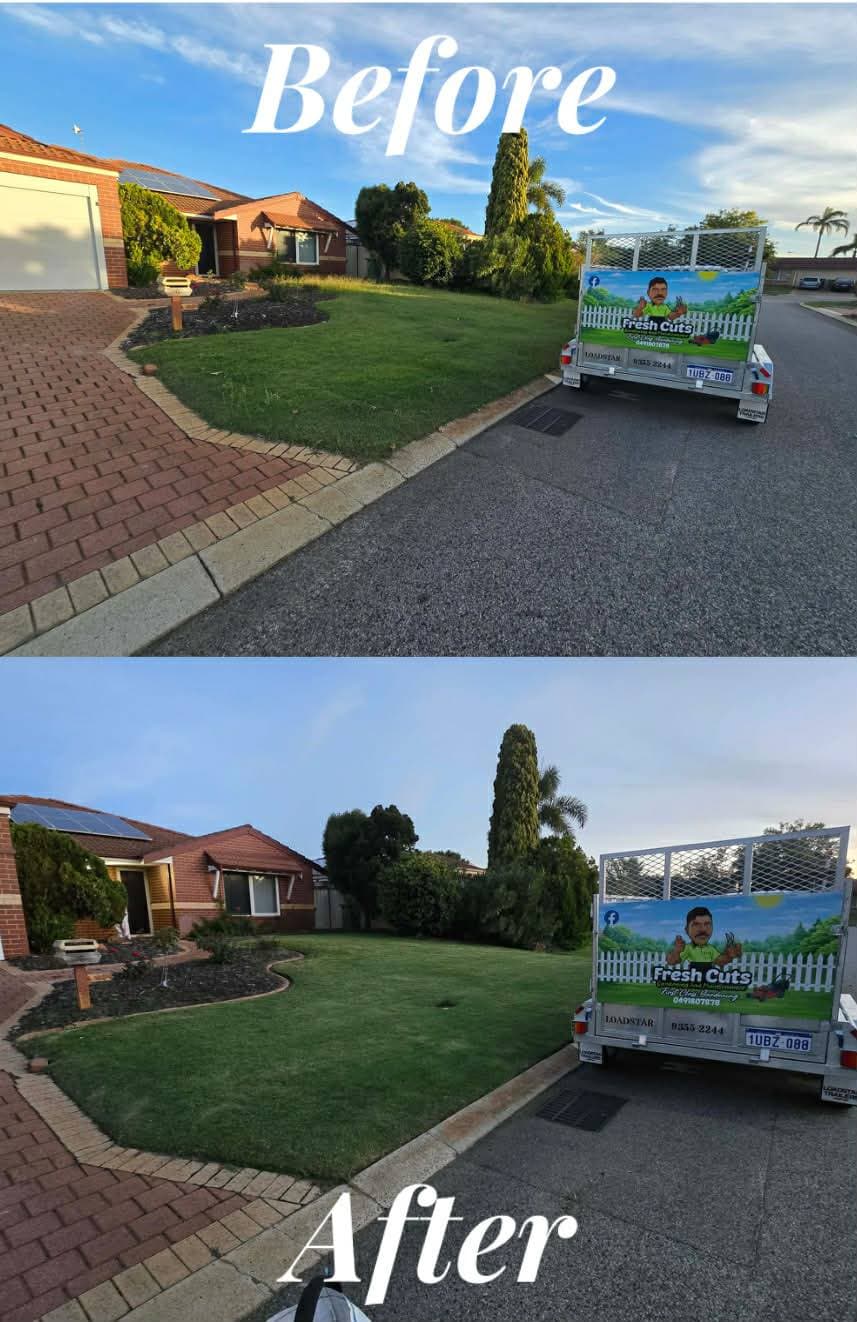 Lawn Mowing before and after