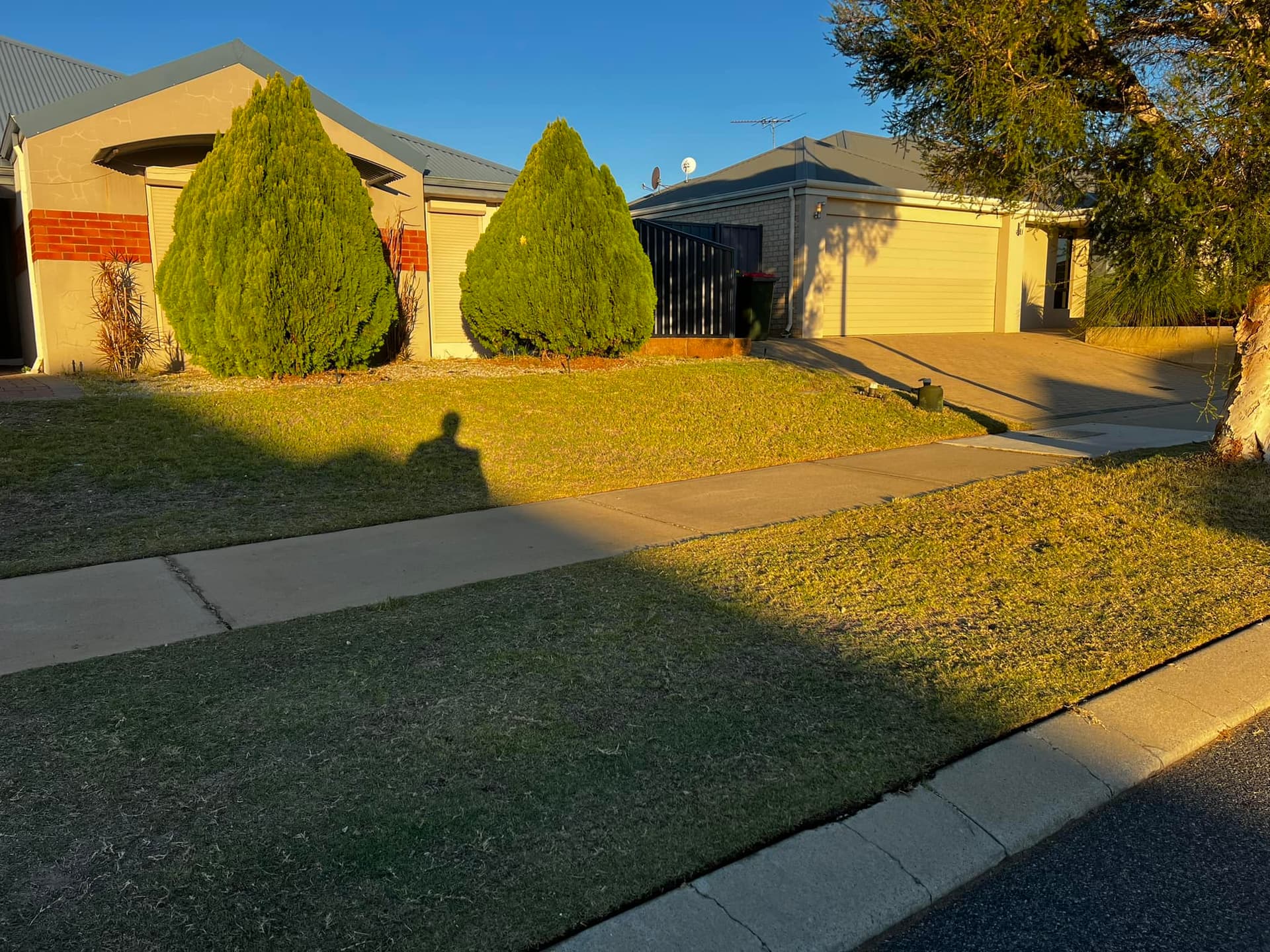 Lawn Mowing & Maintenance