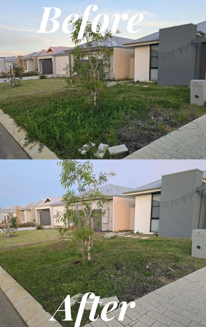 Tree Reduction & Pruning