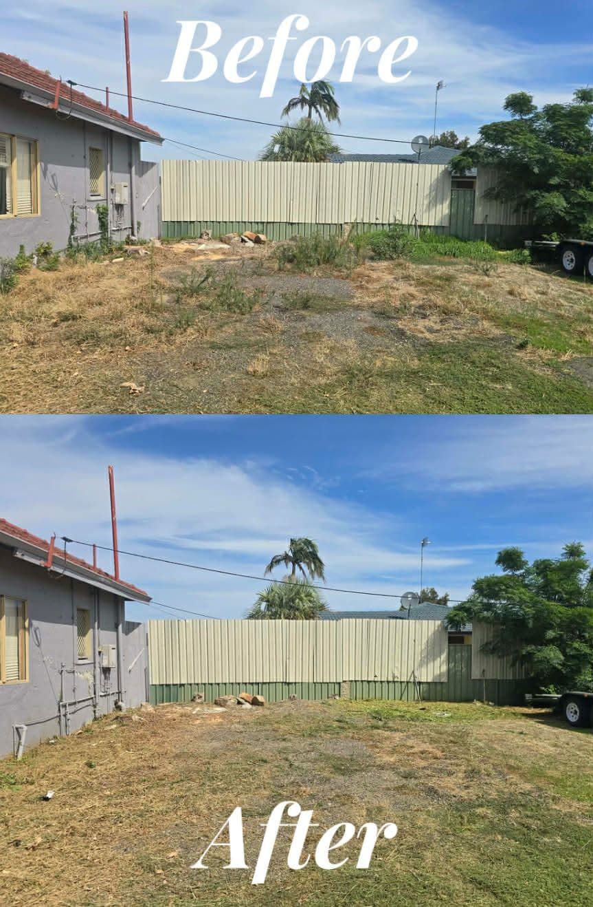 Yard Clean-up before and after