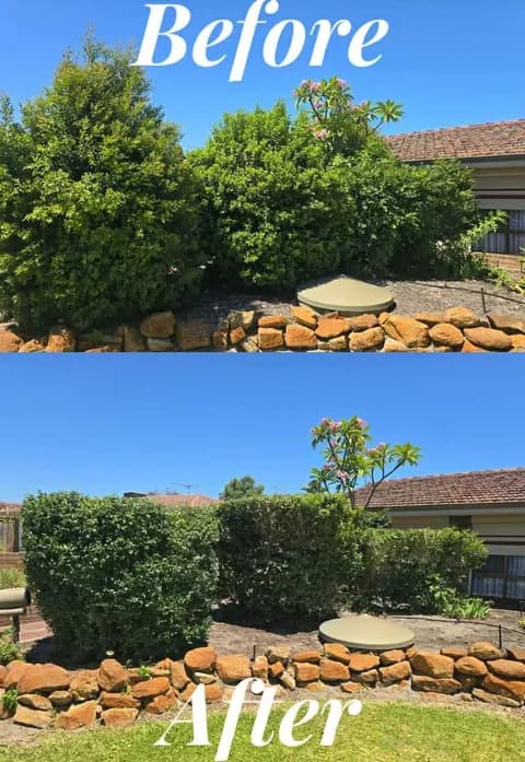 Fresh Cuts gardening work — before and after #14