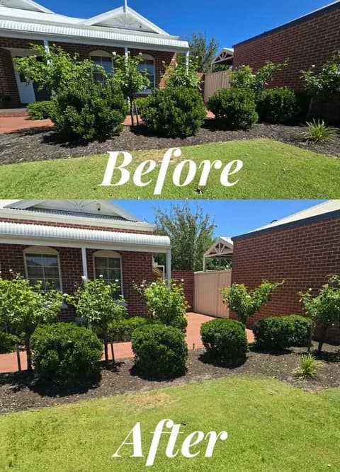 Fresh Cuts gardening work — before and after #2