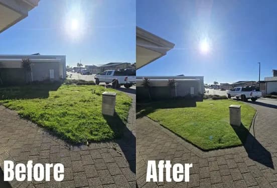 Fresh Cuts gardening work — before and after #3