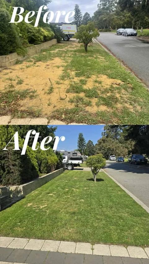 Fresh Cuts gardening work — before and after #7